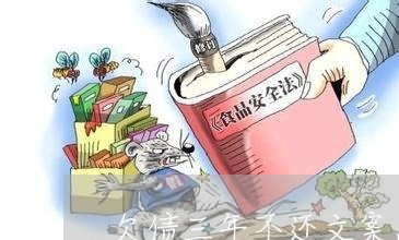 欠债三年不还文案怎么写/2023092860483