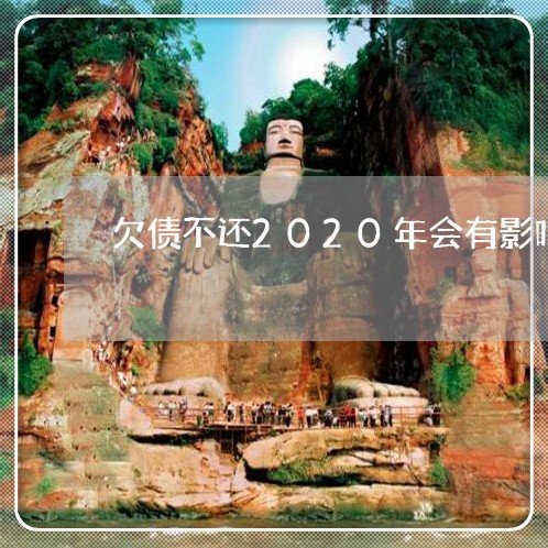 欠债不还2020年会有影响吗/2023120861426