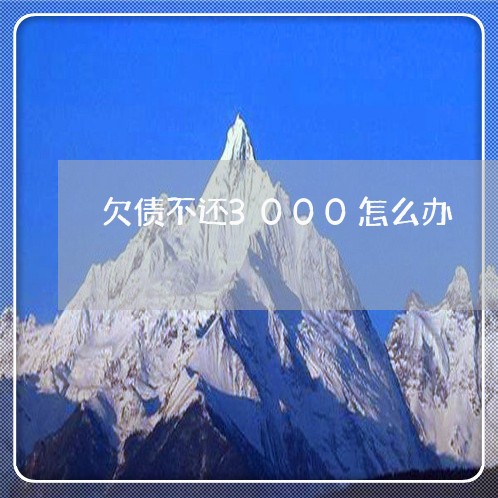 欠债不还3000怎么办/2023111727047