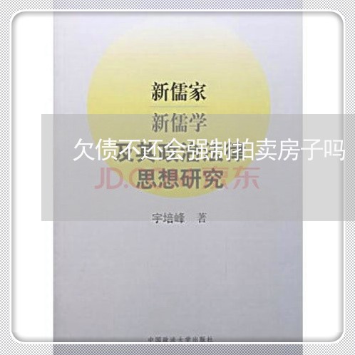 欠债不还会强制拍卖房子吗/2023120818170