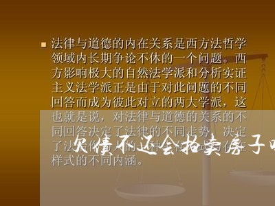 欠债不还会拍卖房子吗现在/2023110697171