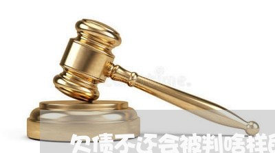 欠债不还会被判啥样的刑法/2023120828947