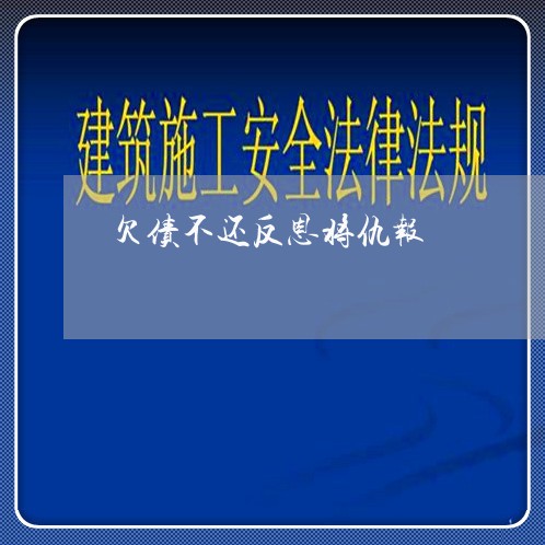 欠债不还反恩将仇报/2023111172714