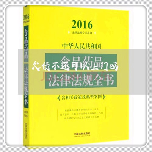 欠债不还可以上门吗/2023111059491