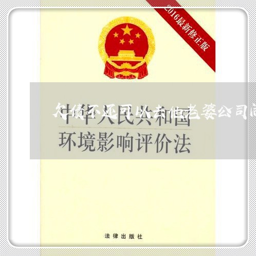 欠债不还可以去他老婆公司闹么/2023121016386