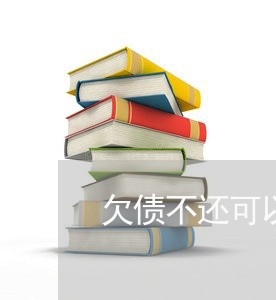 欠债不还可以抵押家具吗/2023111062793