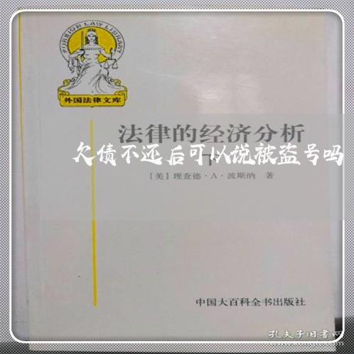 欠债不还后可以说被盗号吗/2023120828179