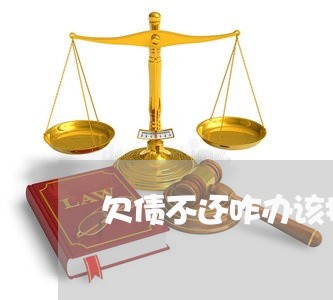 欠债不还咋办该找哪里/2023111720360