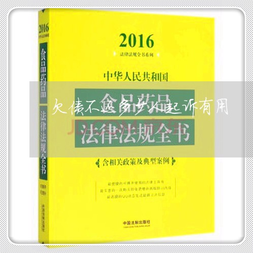 欠债不还多少人起诉有用/2023092271483