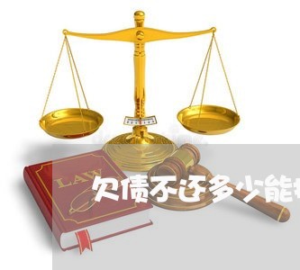 欠债不还多少能报警/2023111794048