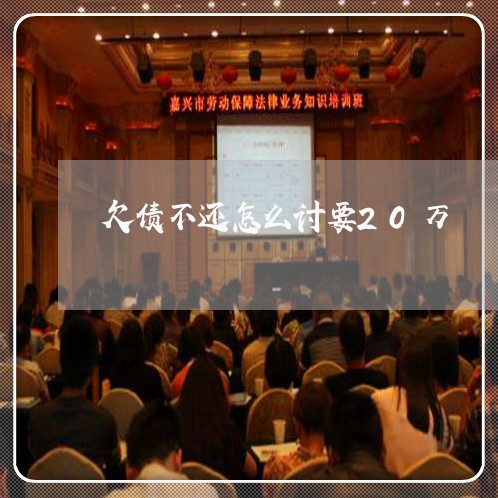 欠债不还怎么讨要20万/2023102593627