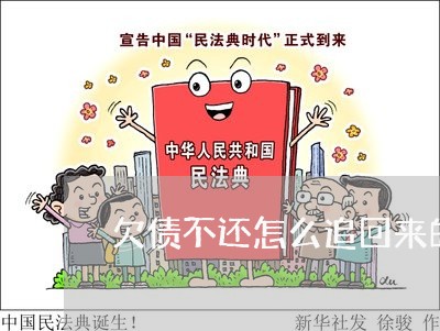 欠债不还怎么追回来的/2023111085935