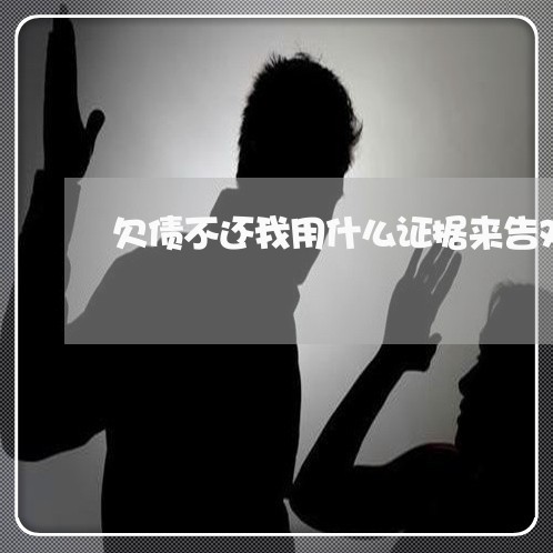 欠债不还我用什么证据来告对方/2023092919401