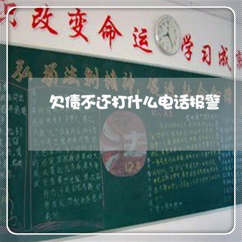 欠债不还打什么电话报警/2023111748378