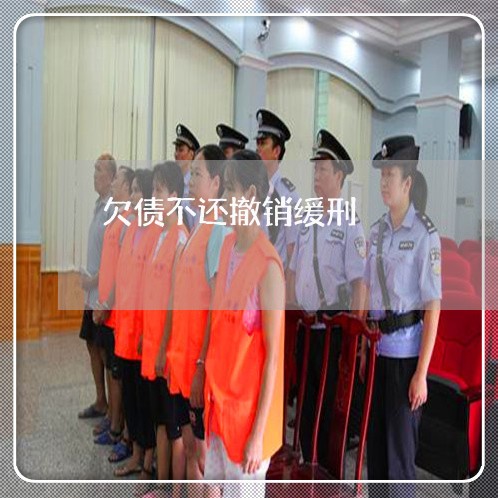 欠债不还撤销缓刑/2023111174939