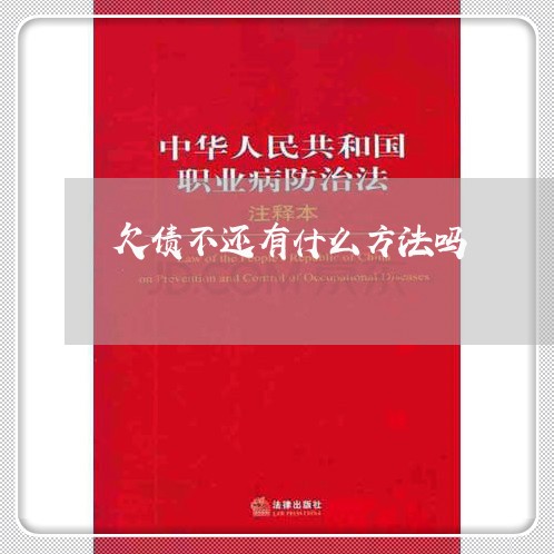 欠债不还有什么方法吗/2023102533917