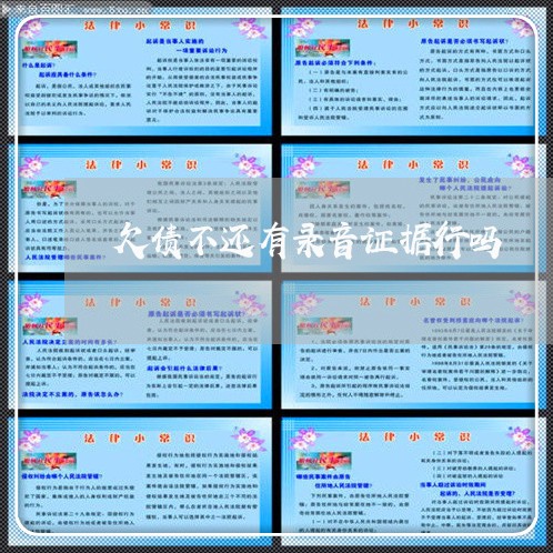 欠债不还有录音证据行吗/2023111051505