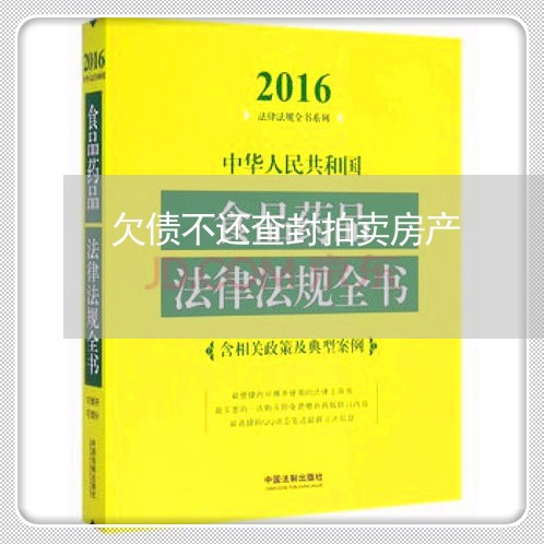 欠债不还查封拍卖房产/2023102472704