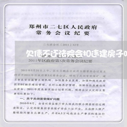 欠债不还法院会扣违建房子吗/2023110737042