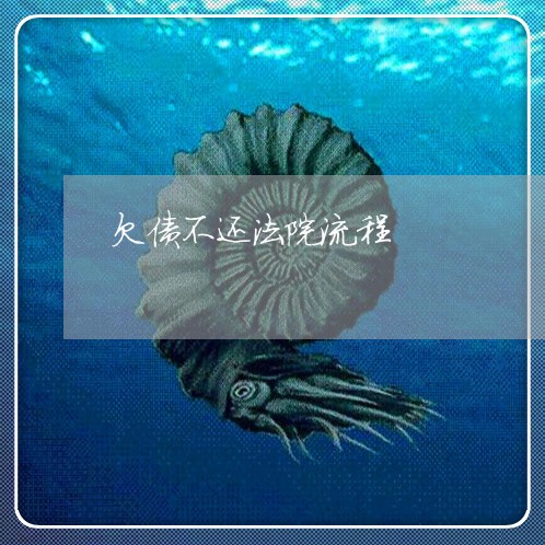 欠债不还法院流程/2023111101493