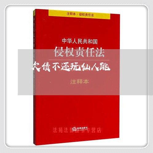 欠债不还玩仙人跳/2023111753847