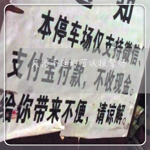 欠债不还的可以报警吗/2023102569583