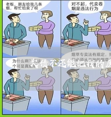 欠债不还能把我的房子卖吗/2023110771734