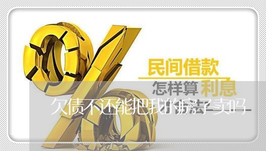 欠债不还能把我的房子卖吗/2023120826171