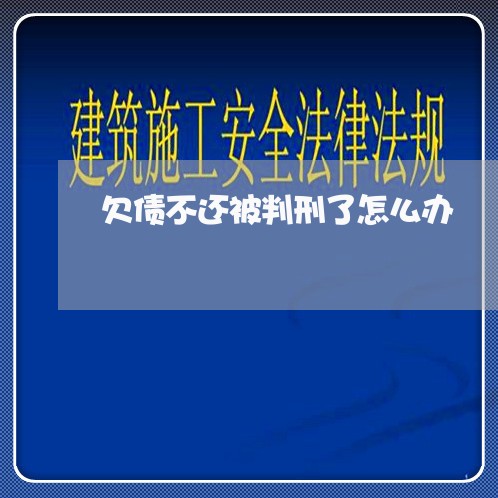 欠债不还被判刑了怎么办/2023110783838