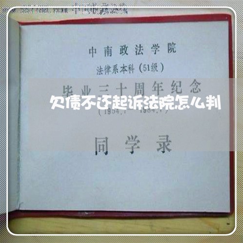 欠债不还起诉法院怎么判/2023111724715