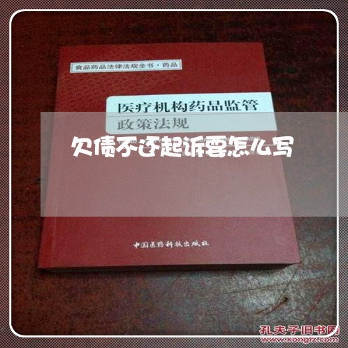 欠债不还起诉要怎么写/2023111740380