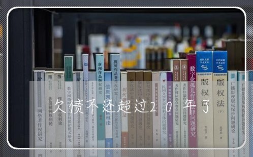 欠债不还超过20年了/2023102504915