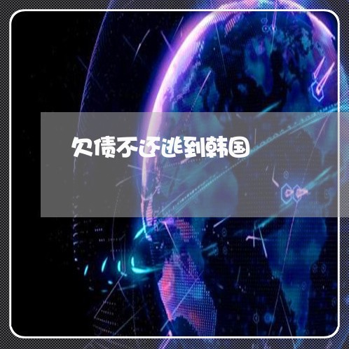 欠债不还逃到韩国/2023111152403