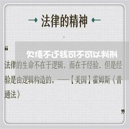 欠债不还钱可不可以判刑/2023110848270