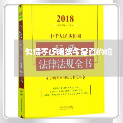 欠债不还限驾令是真的吗/2023092237493