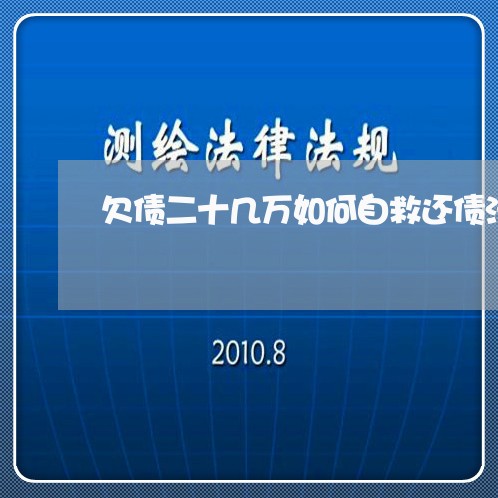 欠债二十几万如何自救还债法/2023062098303