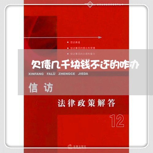 欠债几千块钱不还的咋办/2023120454727