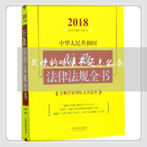 欠债的时候不还怎么办/2023111048460