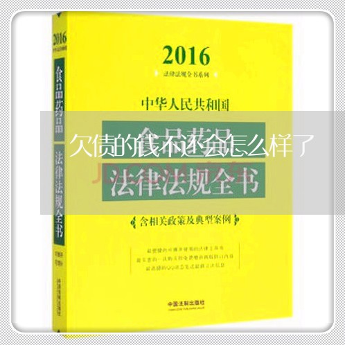 欠债的钱不还会怎么样了/2023111160381