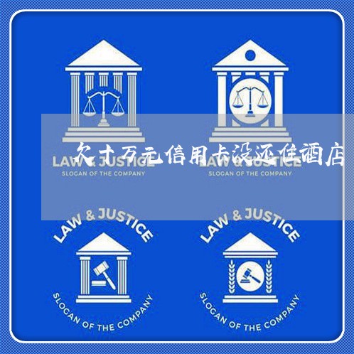 欠十万元信用卡没还住酒店/2023081484929