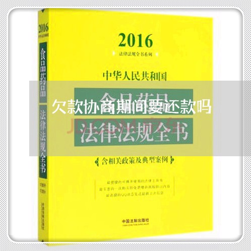 欠款协商期间要还款吗/2023092092716