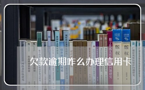 欠款逾期咋么办理信用卡/2023052625171