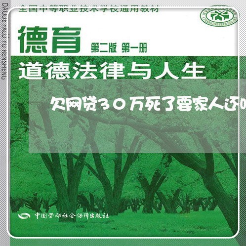 欠网贷30万死了要家人还吗/2023112306257