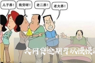 欠网贷逾期可以慢慢还吗/2023081278460