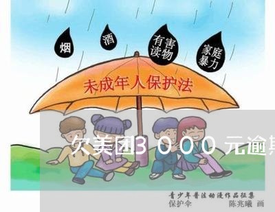 欠美团3000元逾期不还会怎样/2023053174028