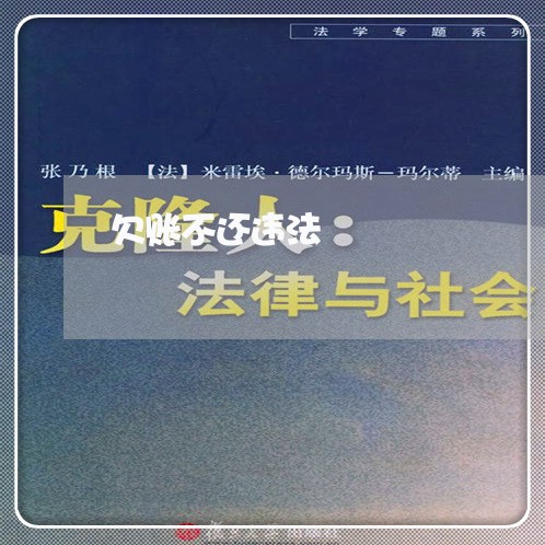 欠账不还违法/2023100653808