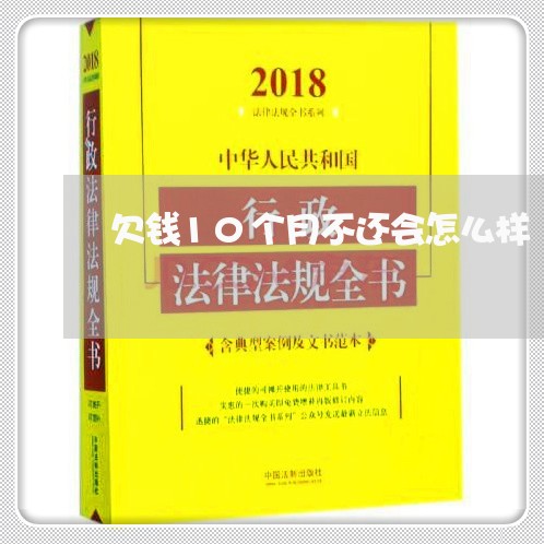 欠钱10个月不还会怎么样/2023110959493