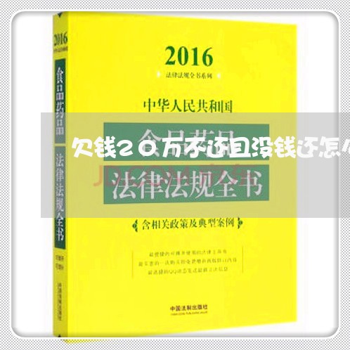 欠钱20万不还且没钱还怎么办/2023120573714