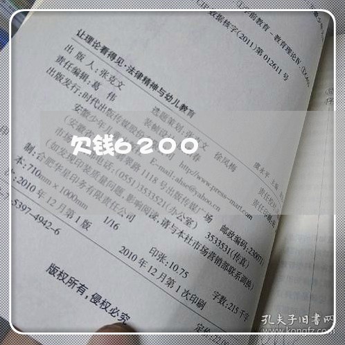 欠钱6200/2023100973715