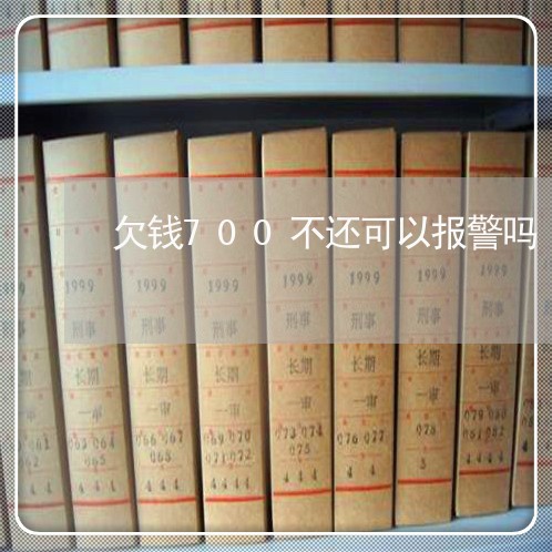 欠钱700不还可以报警吗/2023112679503